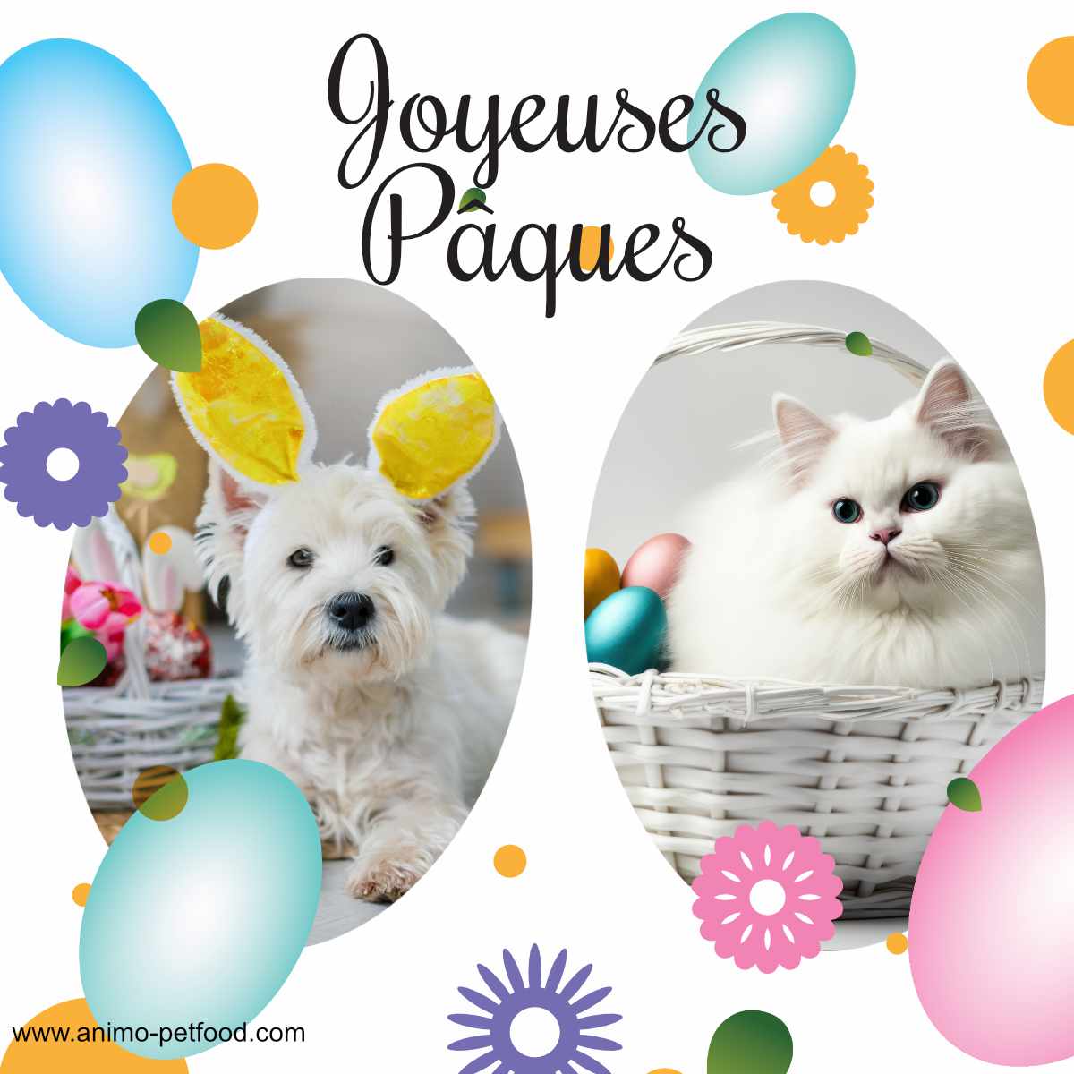 pâques-chien-et-chat